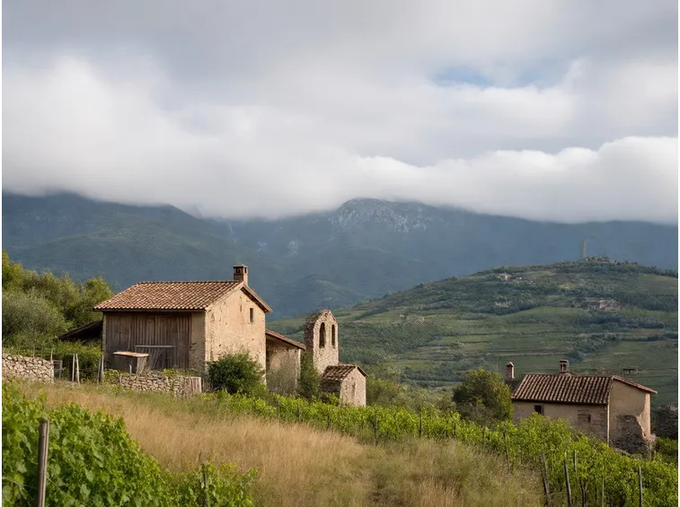 trentino