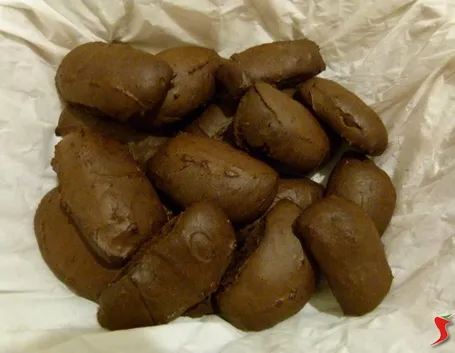 Biscotti al cioccolato