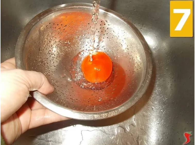 Il pomodoro