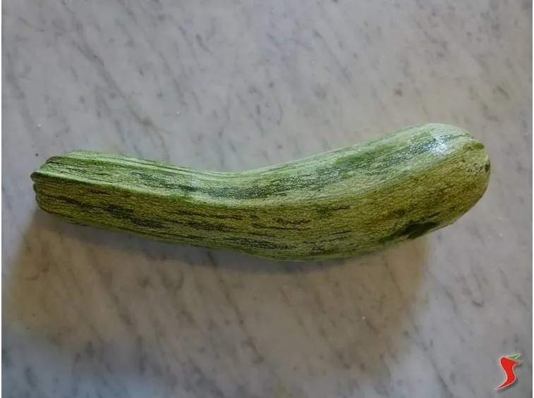zucchine