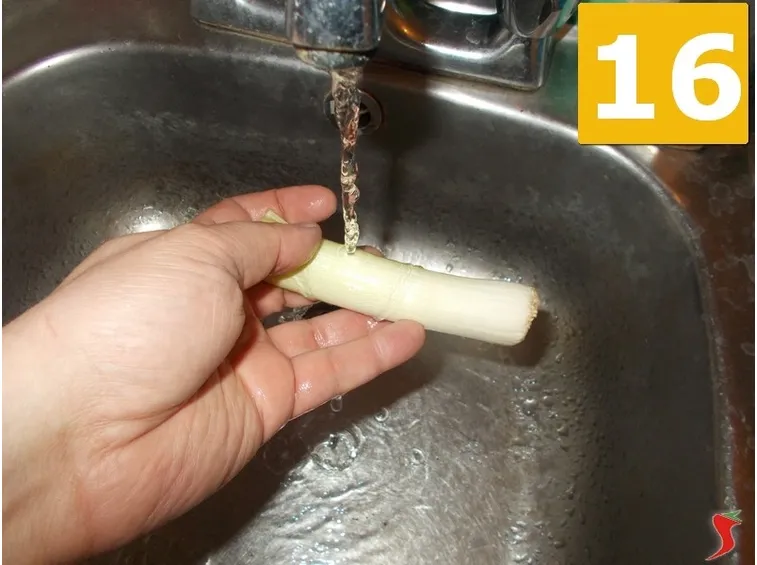 Il porro