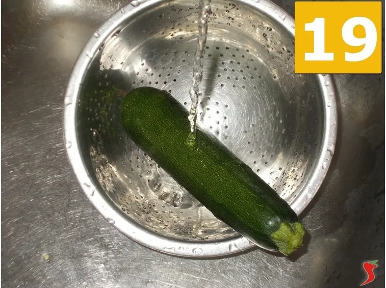 zucchina