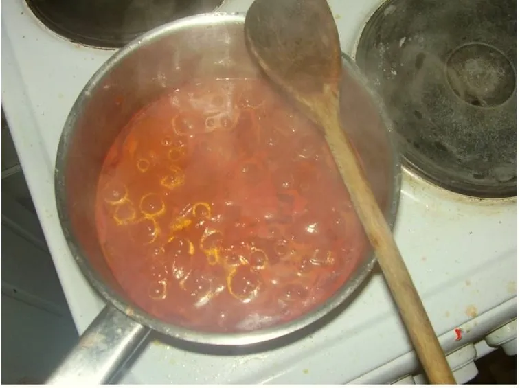 cottura salsa