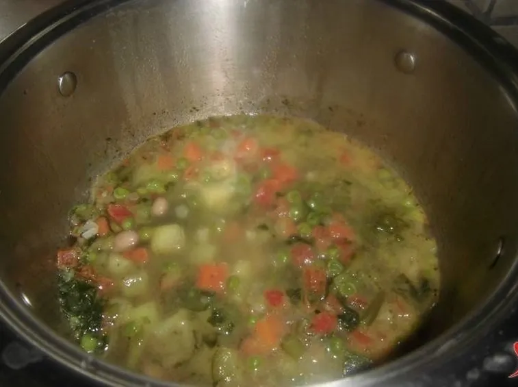 minestrone surgelato