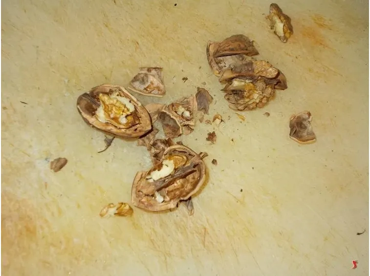 Preparate le noci