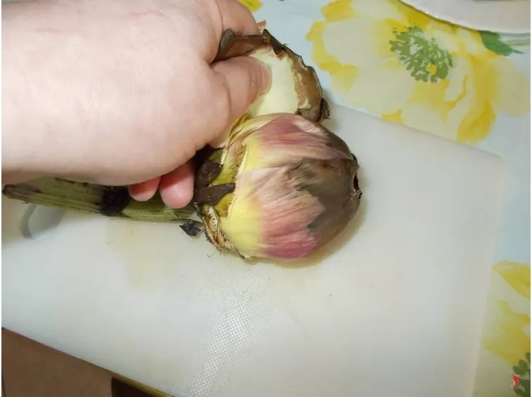 Pulire i carciofi