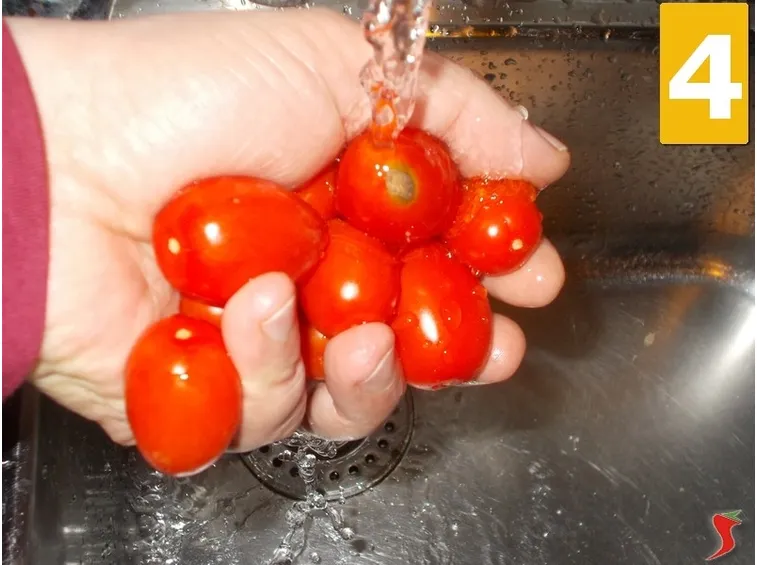 pomodorini