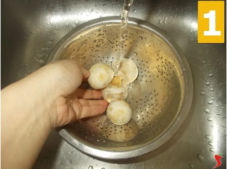 I funghi