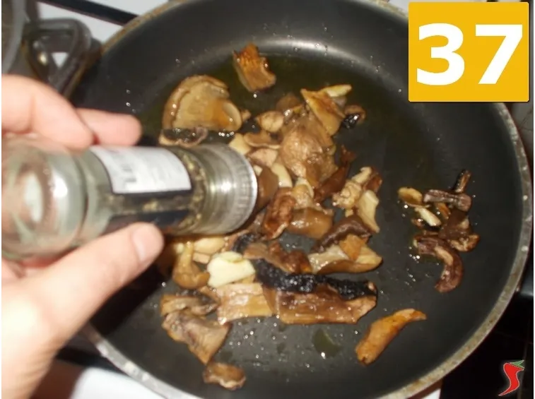 funghi