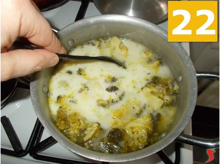 zuppa