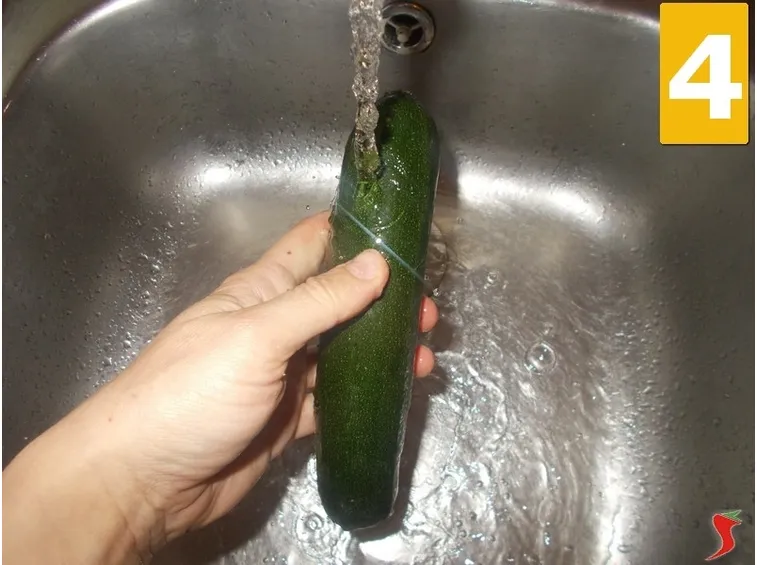 zucchina