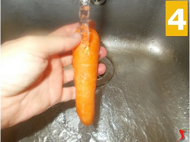 La carota