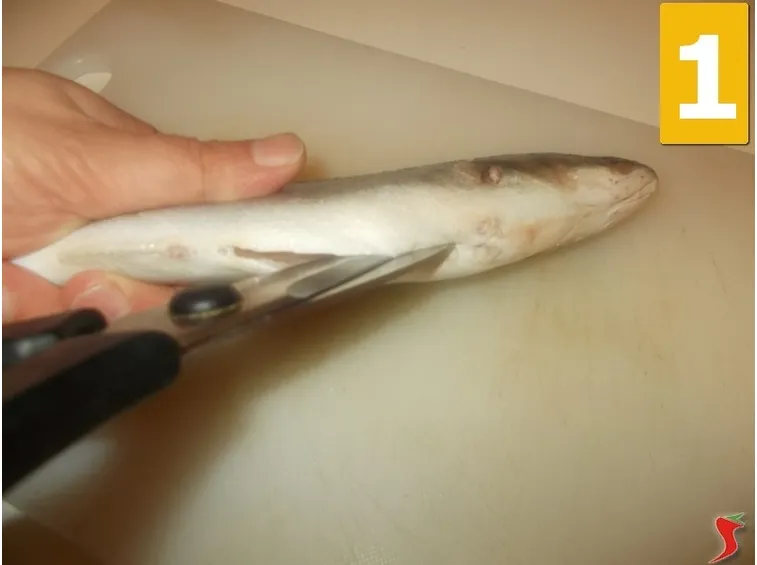 Sviscerate il branzino