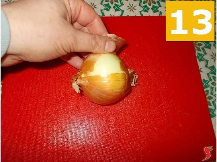 La cipolla