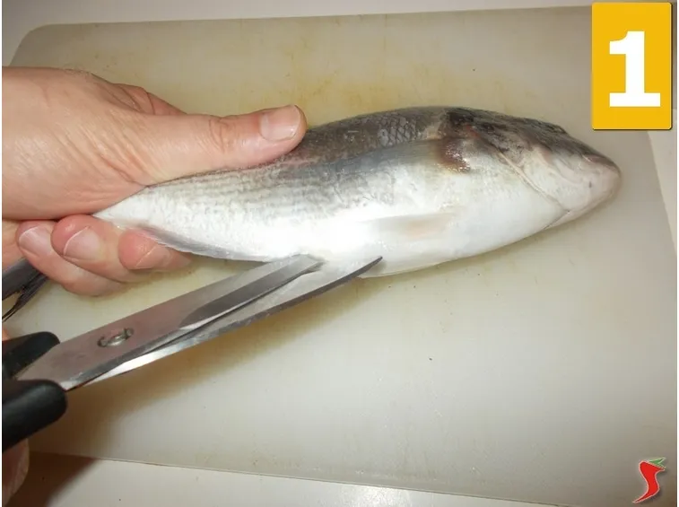 Sviscerate il pesce
