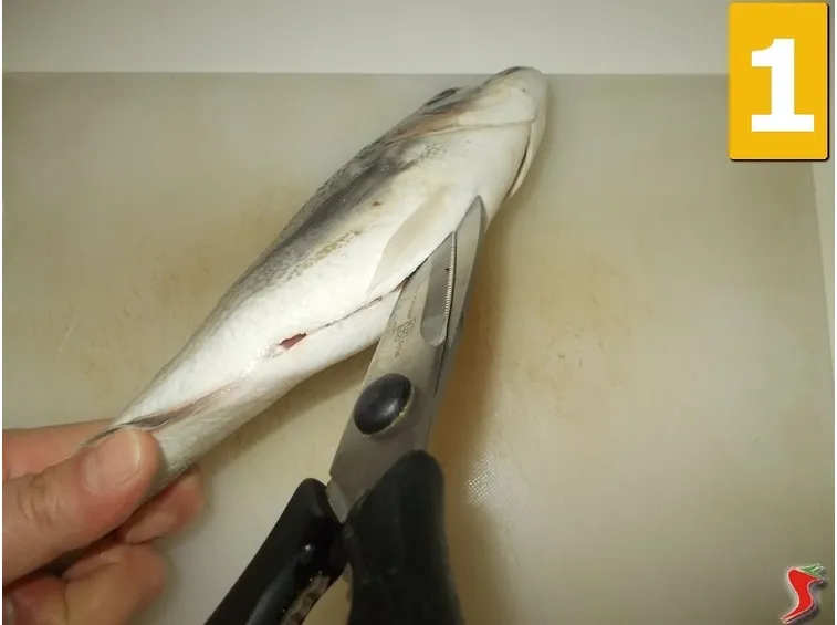 Sviscerate il pesce
