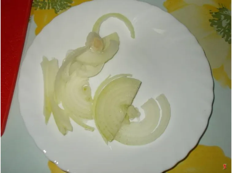 cipolla