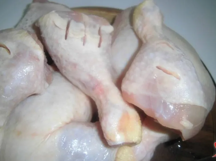 pollo