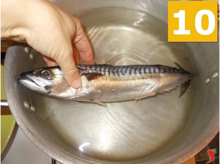 Bollite il pesce