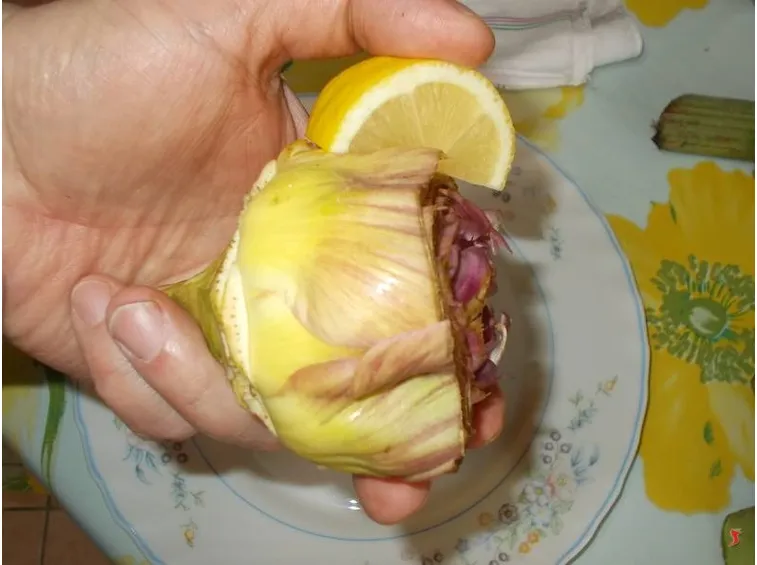 carciofi