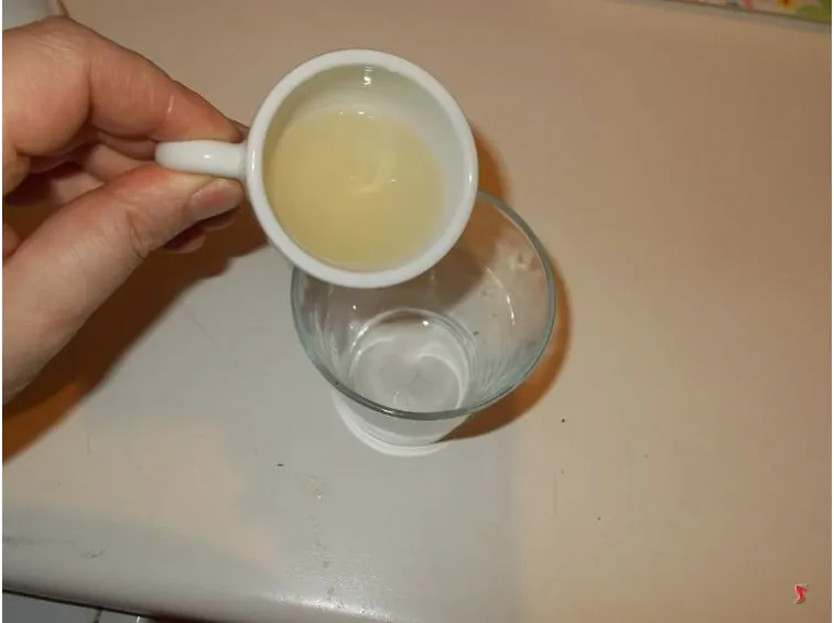 La salsa agrodolce
