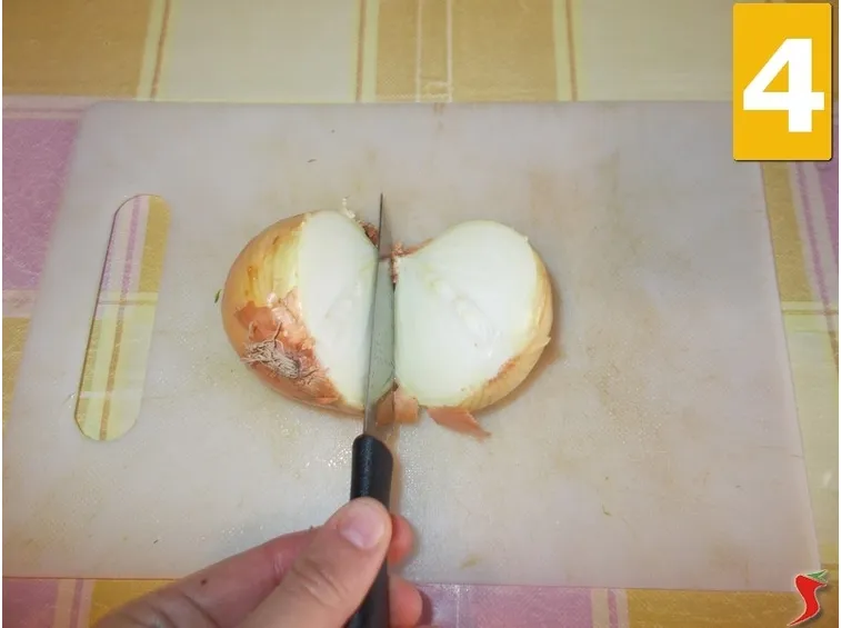 La cipolla