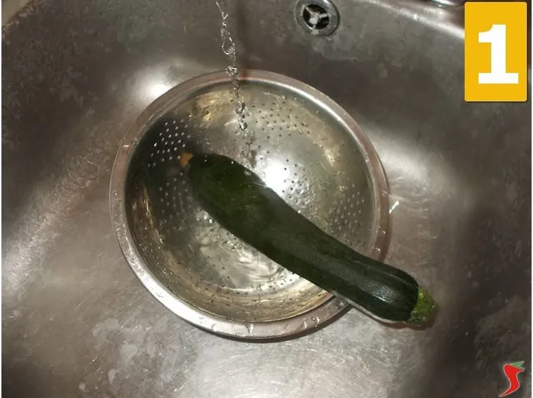 zucchina